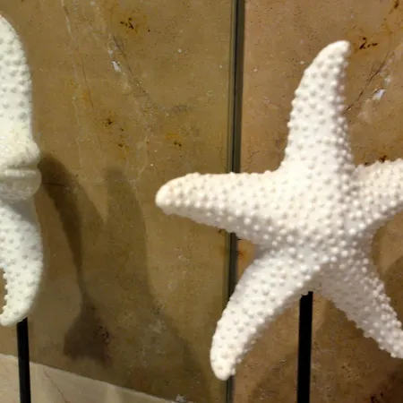 ベッド・アンド・ブレックファスト Shiado Suites リスボン