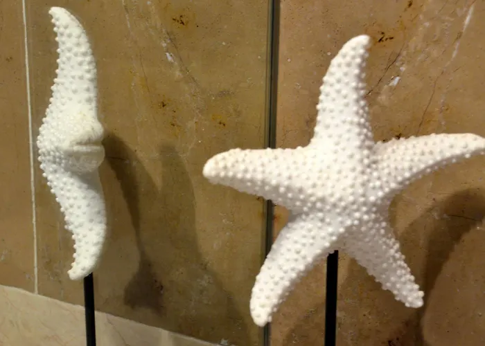 Bed and breakfast Shiado Suites Lisboa